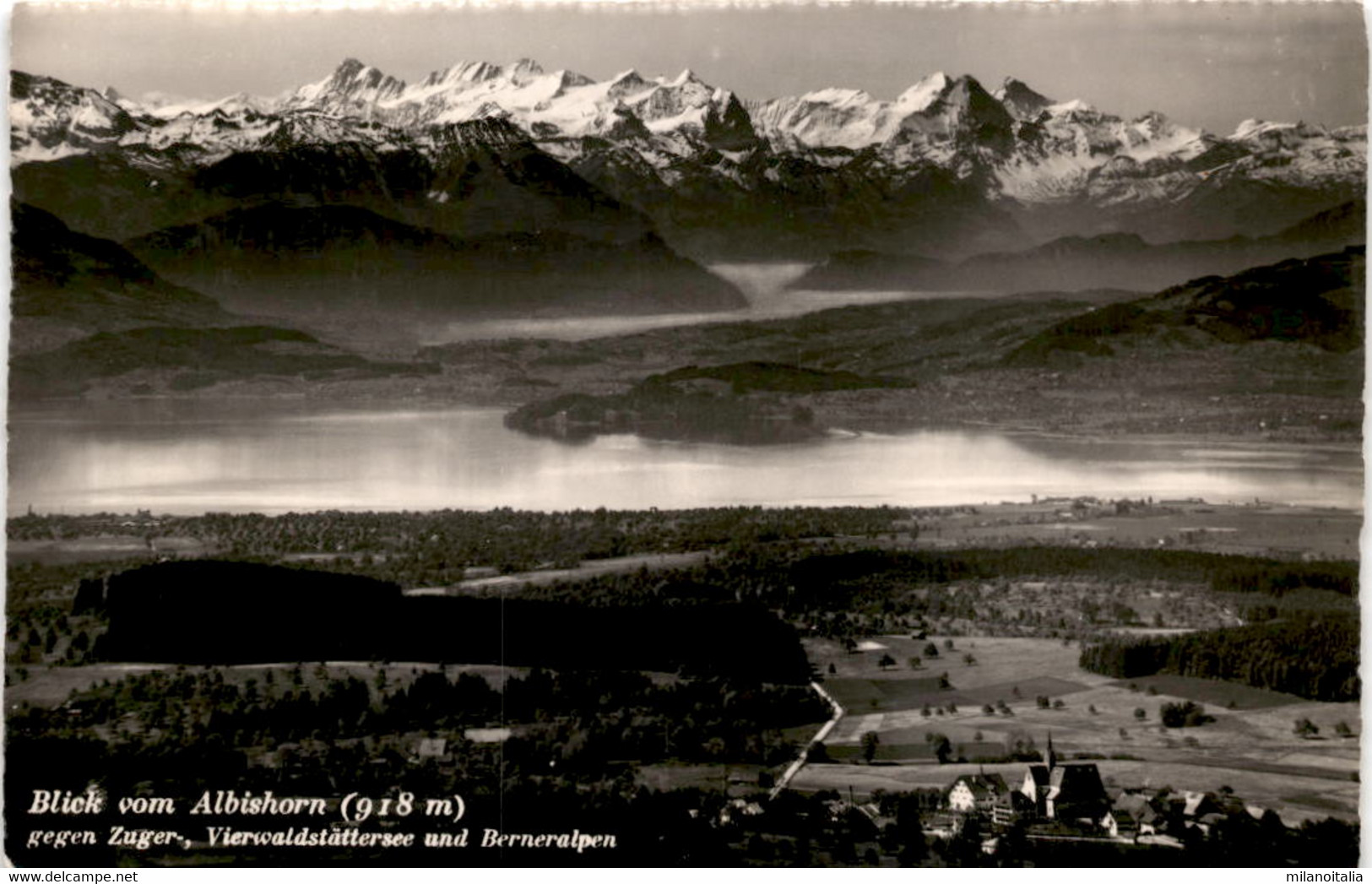 Blick Vom Albishorn Gegen Zuger-, Vierwaldstättersee Und Berneralpen (3801) * 19. 7. 1950 - Wald