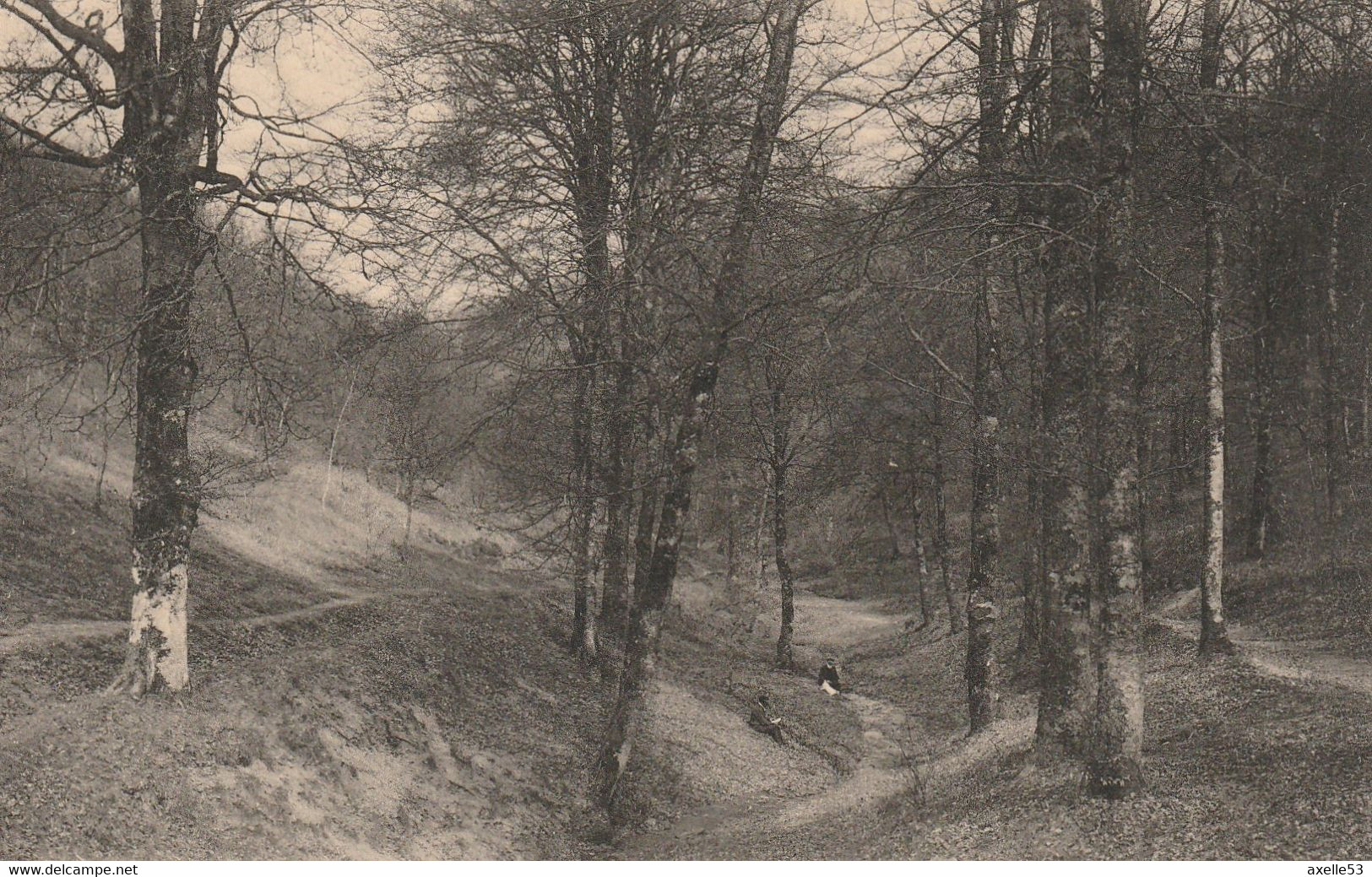 Martelange Belgique (7602) Entrée De La Foret - Martelange