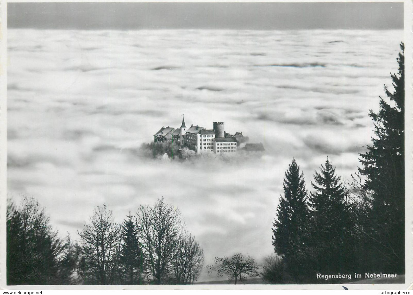 Postcard Switzerland Regensberg Im Nebelmeer Castle Surrounded By Mist - Elm