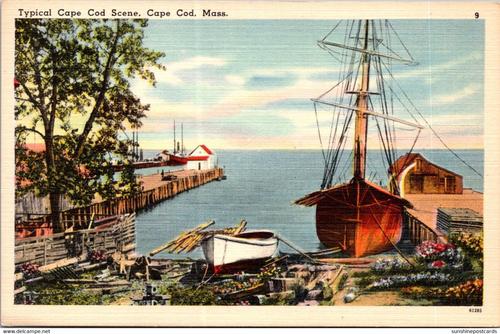 Massachusetts Cape Cod Typical Scene - Cape Cod