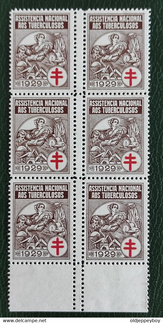 ERRO VARIEDADE Portugal 1929 Full Set Blocks Of 6 With Perforation Error Variety Assistençia Very Rare In This Format - Nuovi