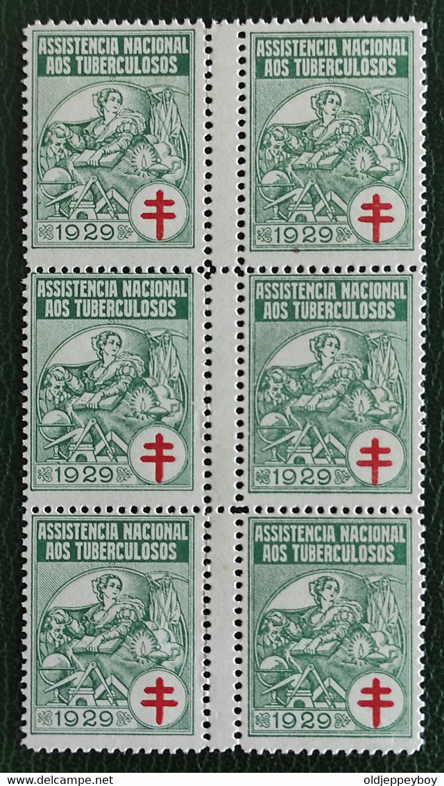 ERRO VARIEDADE Portugal 1929 Full Set Blocks Of 6 With Perforation Error Variety Assistençia Very Rare In This Format - Ongebruikt