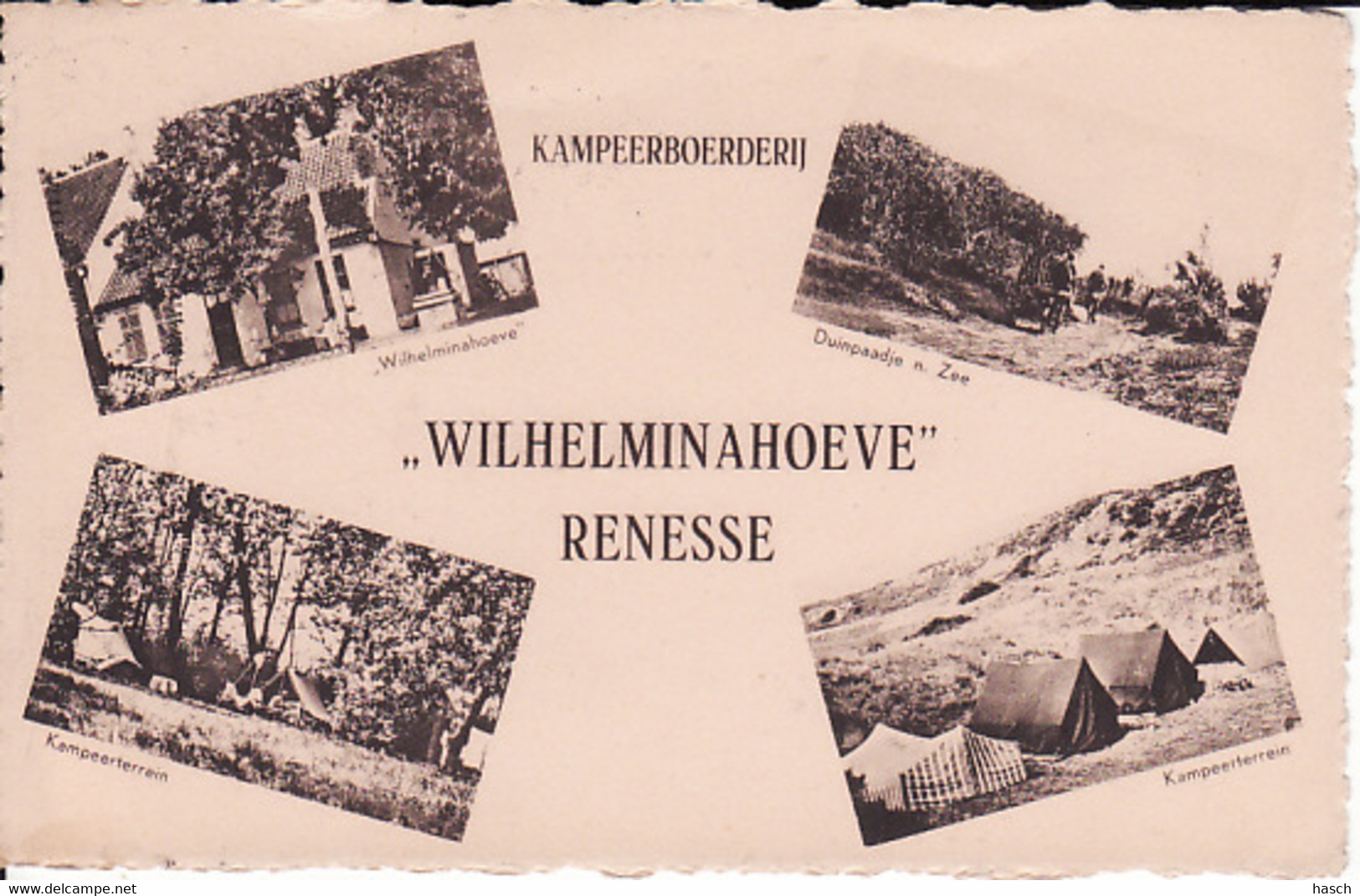 2650	55	Renesse, Wilhelminahoeve 1951 - Renesse
