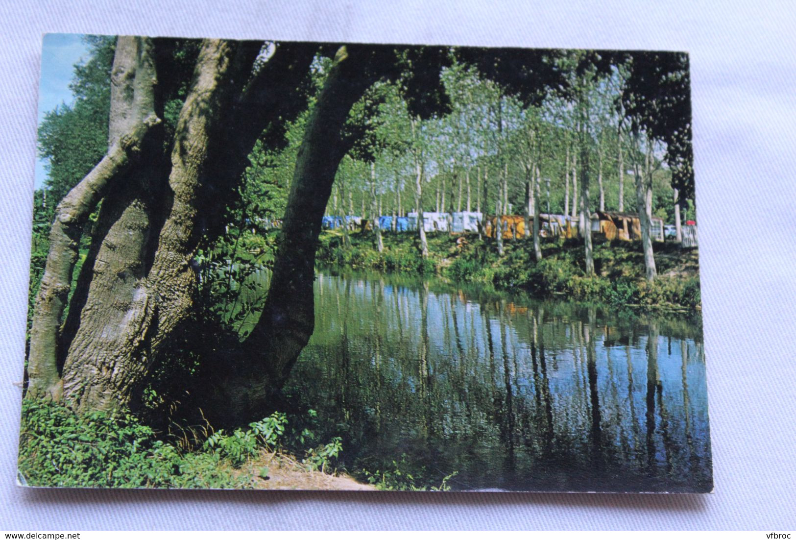 Cpm, Saint Palais, Les Bords De La Bidouze Et Le Camping Municipal, Pyrénées Atlantiques 64 - Saint Palais