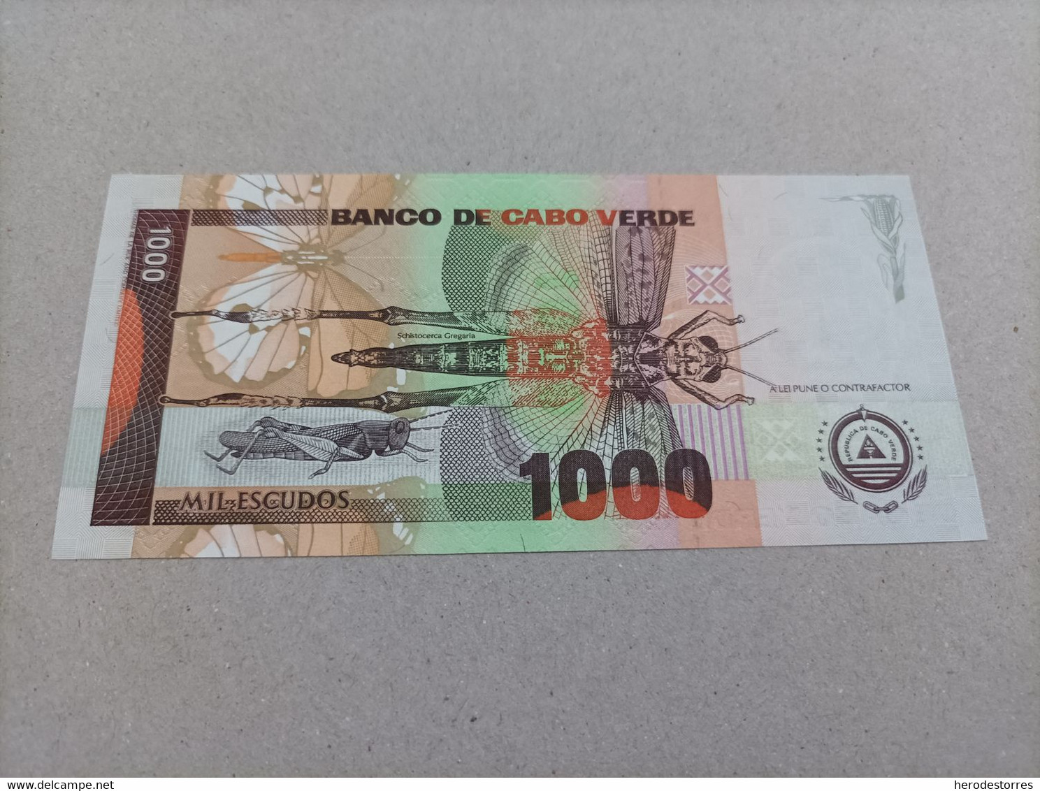 Billete De Cabo Verde De 1000 Escudos, Año 1992, UNC - Cap Verde