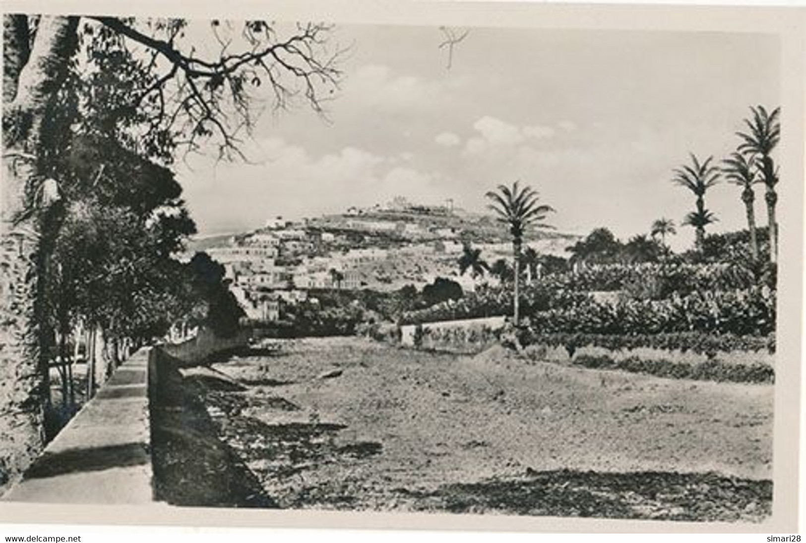 LAS PALMAS - SAN ROQUE - La Palma