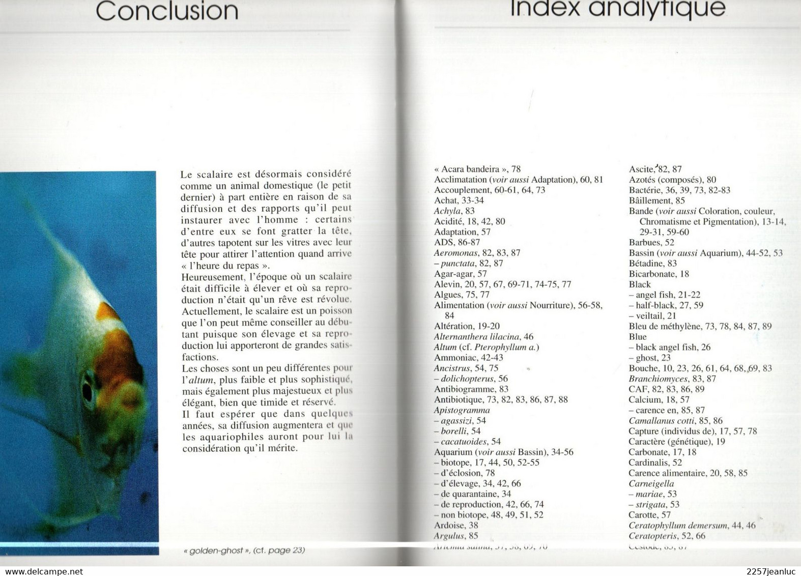 Guide  Des   Poissons   Scalaires Communs Et Les Scalaires Altum Editions De Vecchi 1999 - Encyclopédies