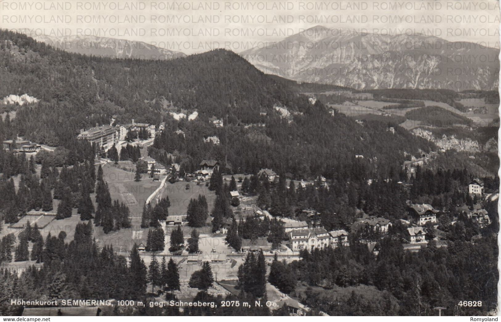 CARTOLINA  HOHENKURORT SEMMERING,STYRIE,AUSTRIA,GEG.SCHNEEBERG M.2075,VIAGGIATA 1958 - Steinhaus Am Semmering