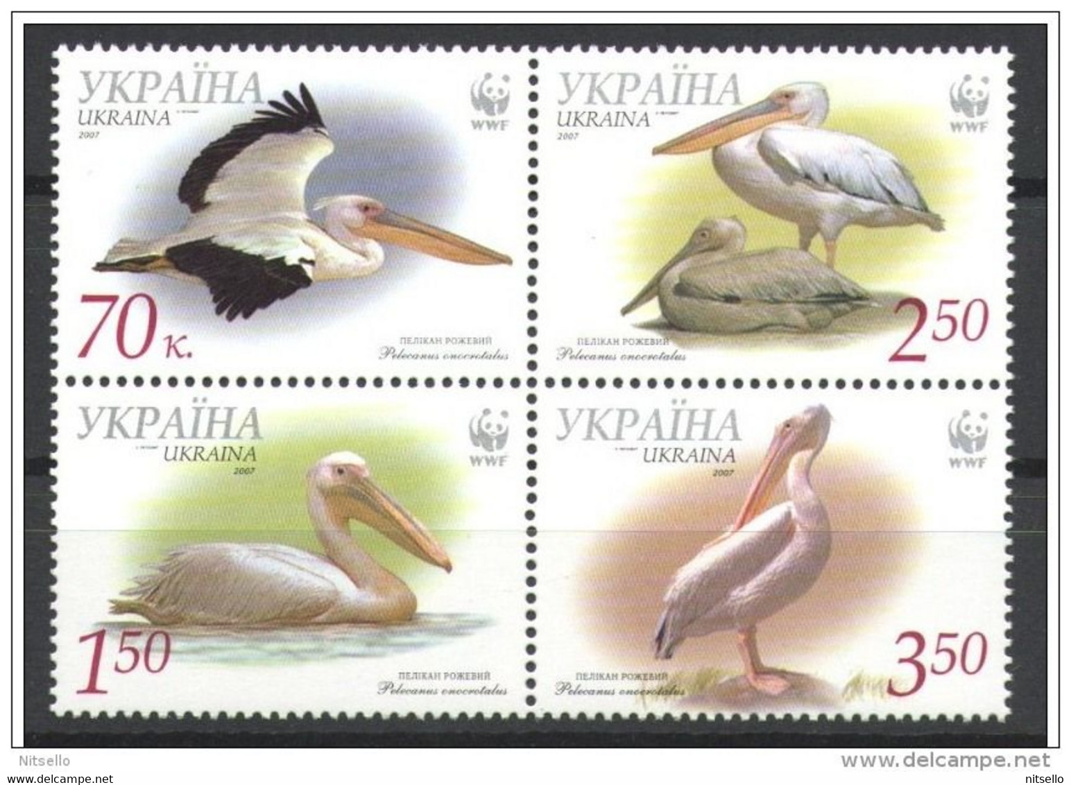 LOTE 1233  ///  (C075)   UCRANIA 2007   YVERT Nº: 822/825 **MNH   //  CATALOG. 2012/COTE: 6€ - Pélicans