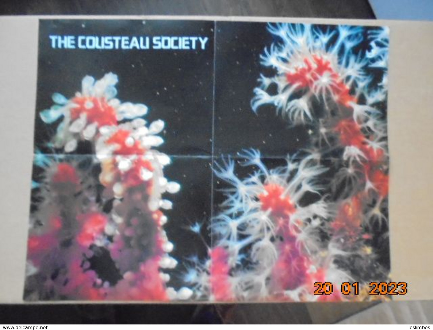 Cousteau Society Bulletin Et Affiche En Anglais : Calypso Log, Volume 3, Number 3 (May - June 1976) - Naturaleza