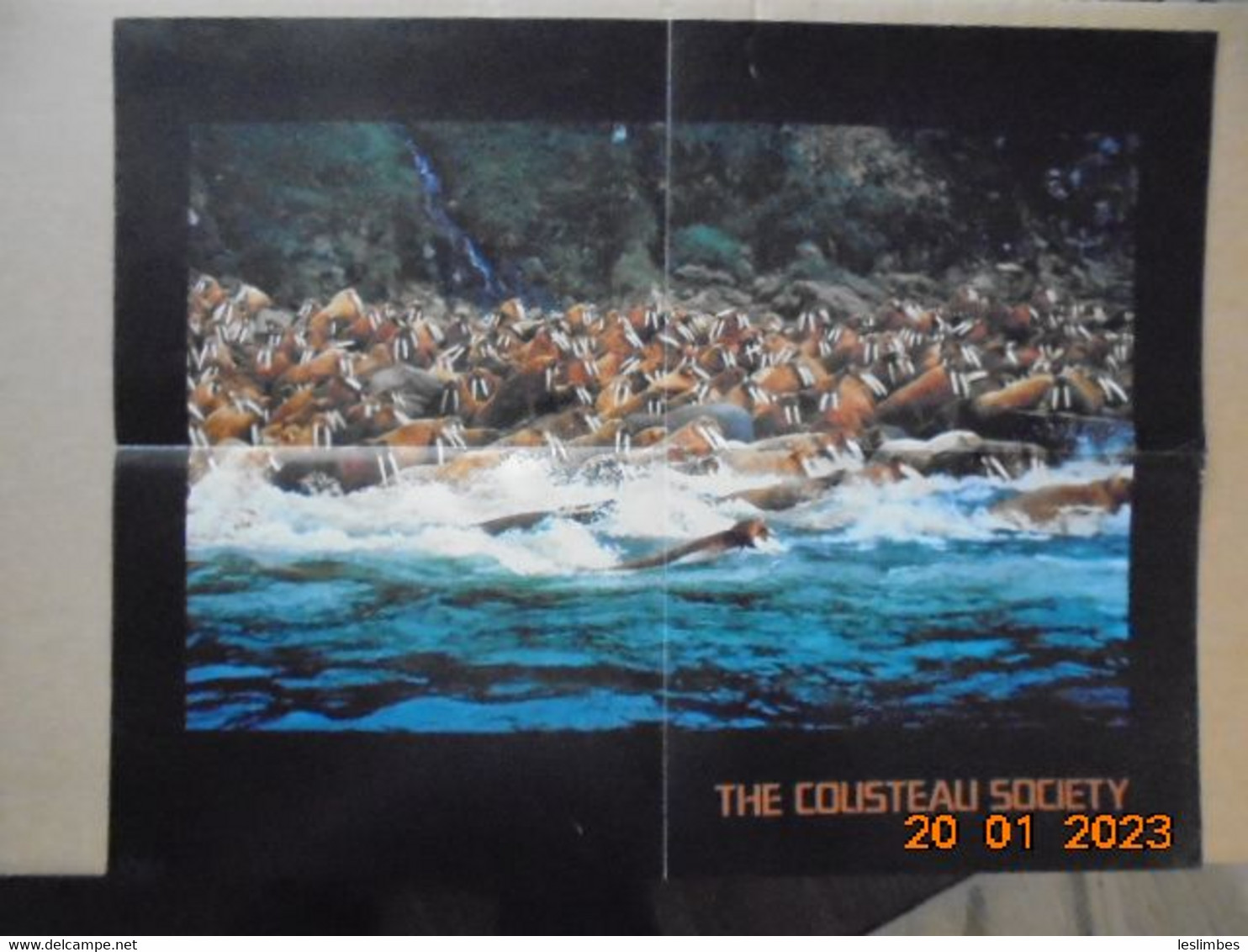 Cousteau Society Bulletin Et Affiche En Anglais : Calypso Log, Volume 3, Number 6 (November - December 1976) - Naturaleza