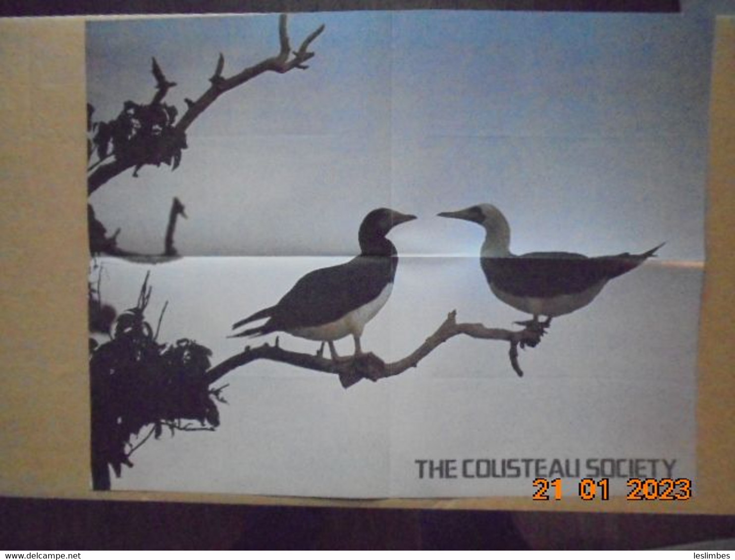 Cousteau Society Bulletin Et Affiche En Anglais : Calypso Log, Volume 5, Number 5  (September - October 1978) - Im Freien
