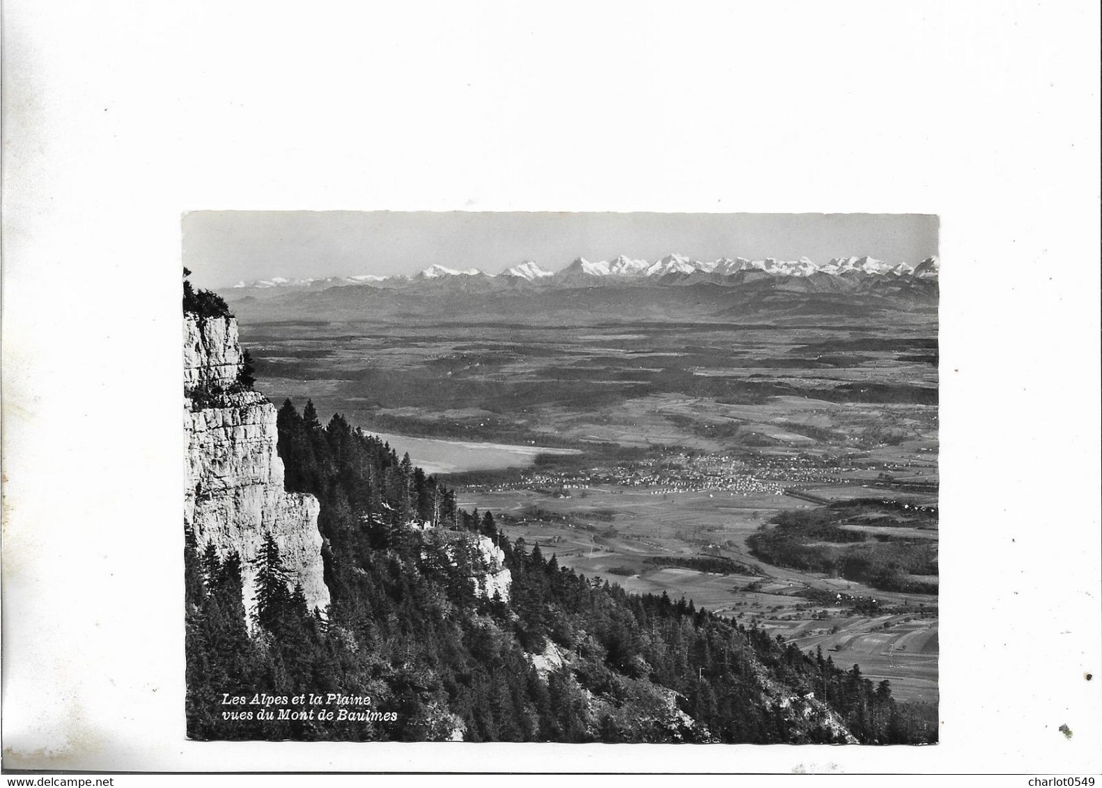 Les Alpes Et La Plaine Vues Du Mont De Baulmes - Baulmes