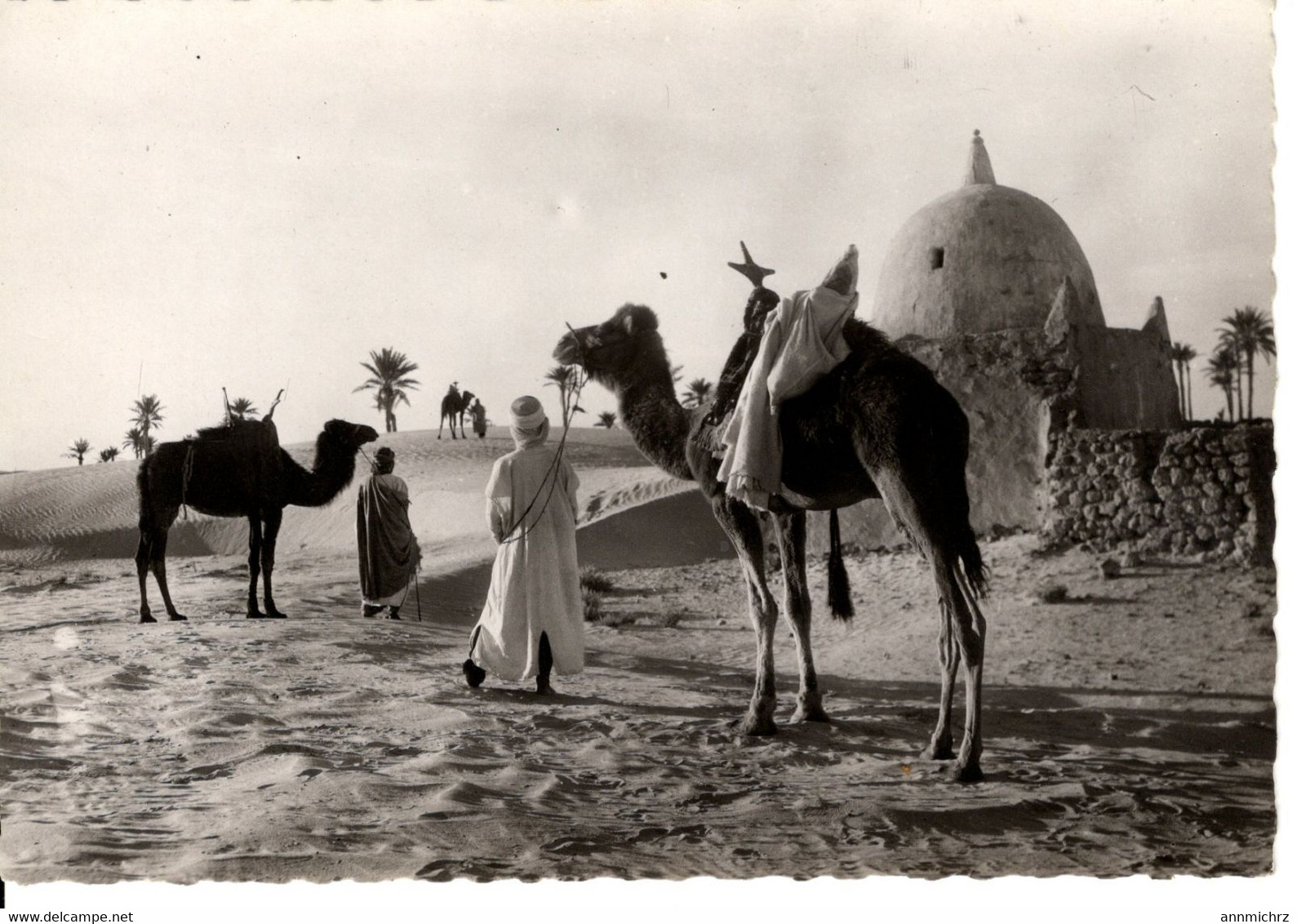 COLLECTION SAHARIENNE ETAPE AU MARABOUT - Westelijke Sahara