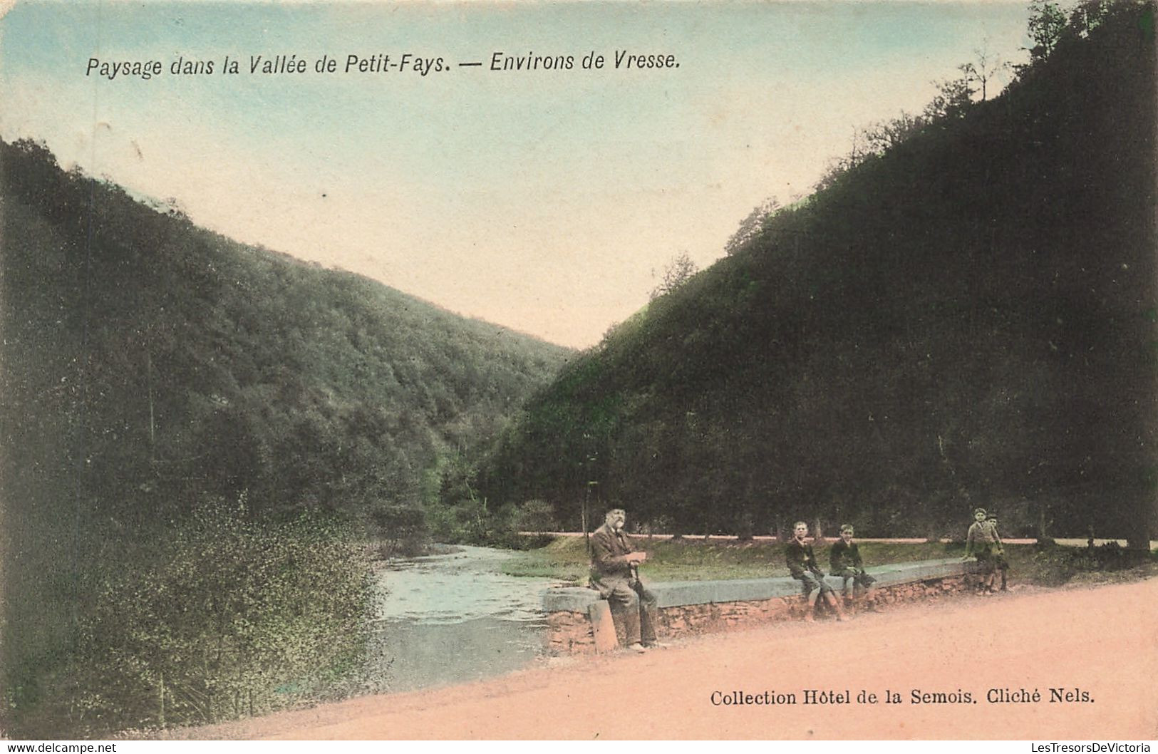 CPA - Belgique - Petit Fays - Paysage Dans La Vallée De Petit Fays - Environs De Vresse - Colorisé - Edit. Nels - Bièvre