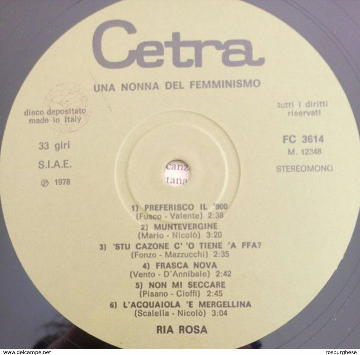 Fonografo Italiano RIA ROSA Una Nonna Del Femminismo LP Vinile - Andere - Italiaans