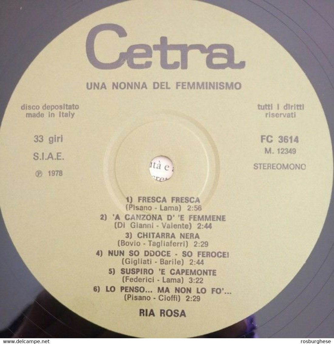 Fonografo Italiano RIA ROSA Una Nonna Del Femminismo LP Vinile - Andere - Italiaans