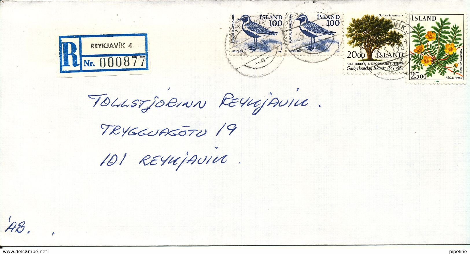 Iceland Registered Domestic Cover Reykjavik 25-5-1987 Topic Stamps - Lettres & Documents