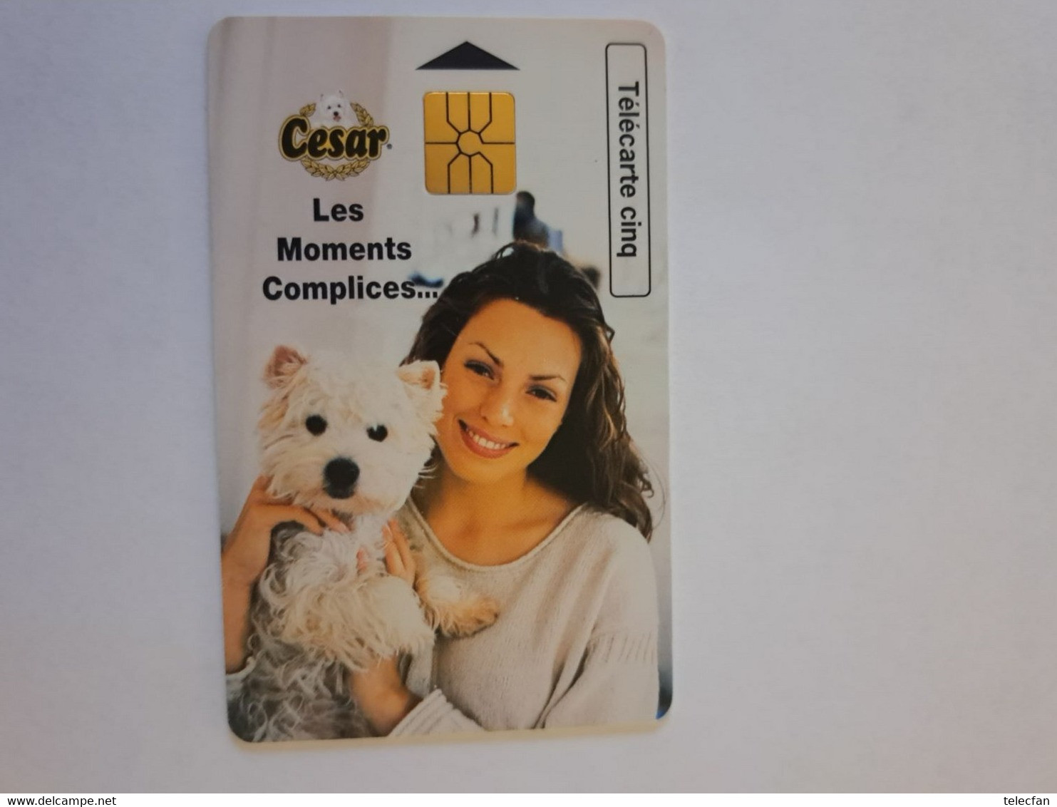 FRANCE PRIVEE 5U  GN459 CESAR FACE BICHON UT COTE 25€ RARE - 5 Unités