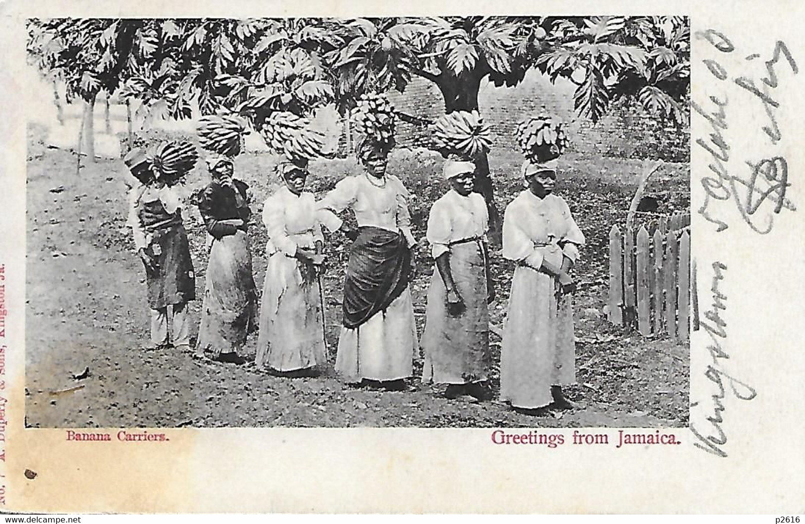 JAMAIQUE -  1903 -  GREETINGS FROM JAMAICA -  BANANA CARRIERS - Jamaïque