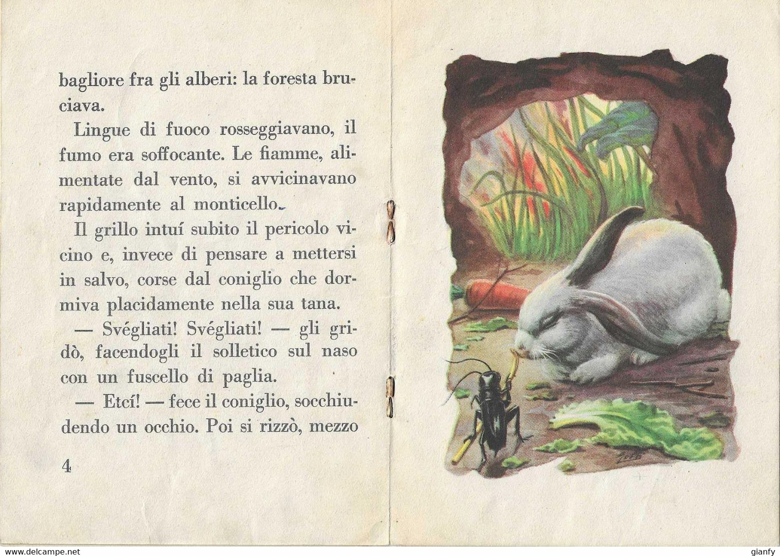 MAGGIORINA CASTOLDI - IL GRILLO E IL CONIGLIO - BIBLIOTECHE DEI FANCIULLI - FRATELLI FABBRI EDITORI MILANO 1954 - Teenagers En Kinderen