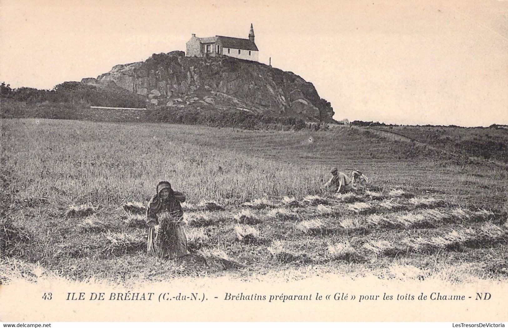 22 - ILE DE BREHAT - Bréhadins Préparant Le Glé Pour Les Toits De Chaume - ND - Carte Postale Ancienne - Ile De Bréhat