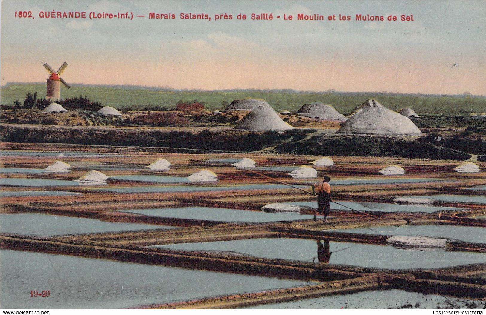 44 - GUERANDE - Marais Salants Près De Saillé - Le Moulin Et Les Mulons De Sel  - Carte Postale Ancienne - Guérande