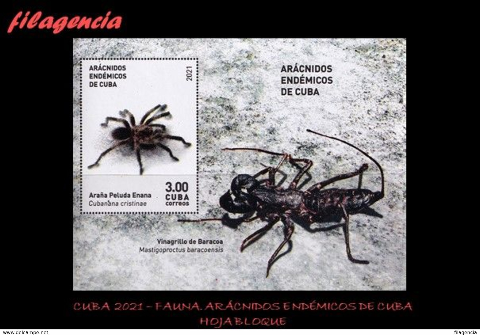 AMERICA. CUBA MINT. 2021 FAUNA. ARÁCNIDOS ENDÉMICOS DE CUBA. HOJA BLOQUE - Unused Stamps