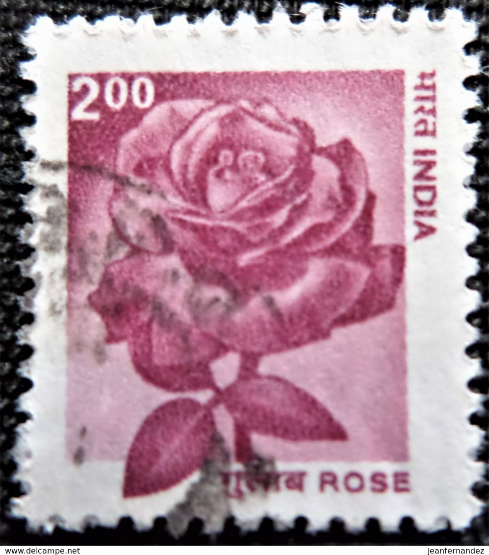 Timbres De L'Inde 2002 Flowers - Rose   Stampworld N°  1917 - Oblitérés