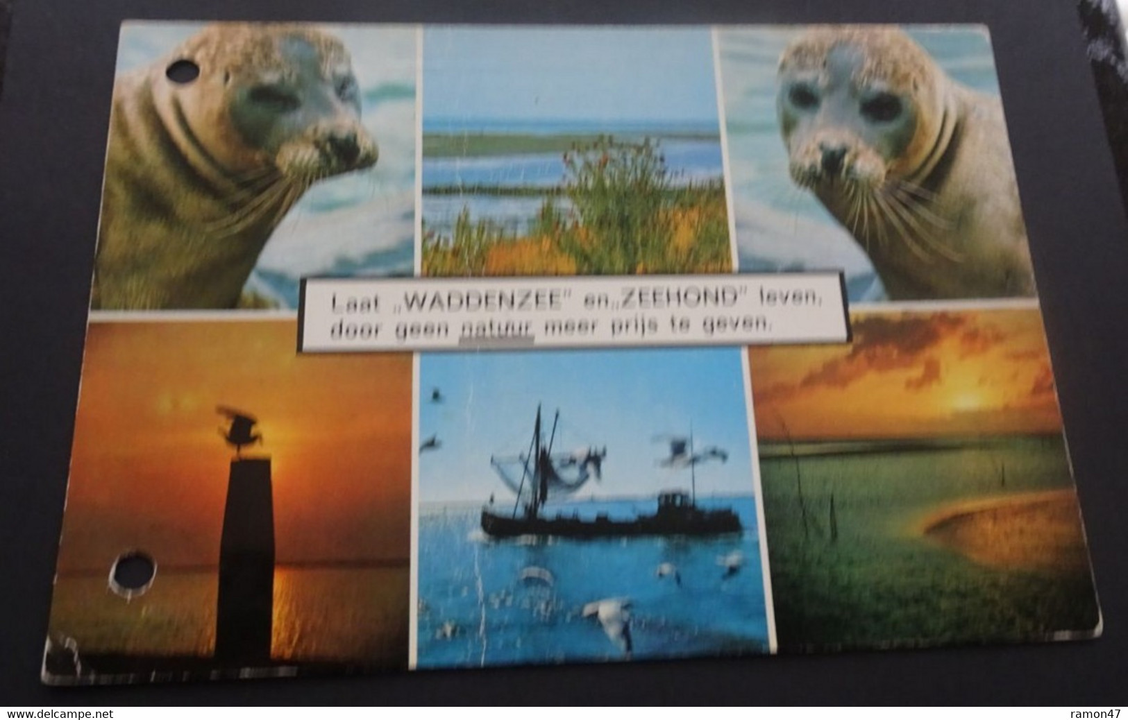 Laat "Waddenzee" En "Zeehond" Leven, Door Geen Natuur Meer Prijs Te Geven - Van Leer's Fotodrukindustrie, Amsterdam - Autres & Non Classés