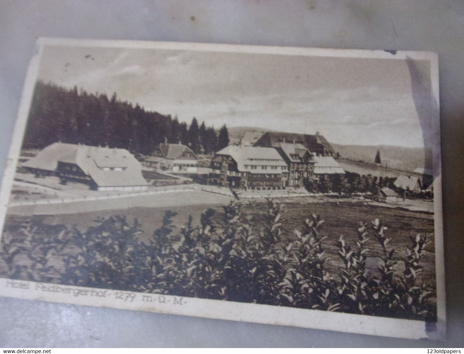 ♥️  FELBERG HOTEL  1932 - Feldberg