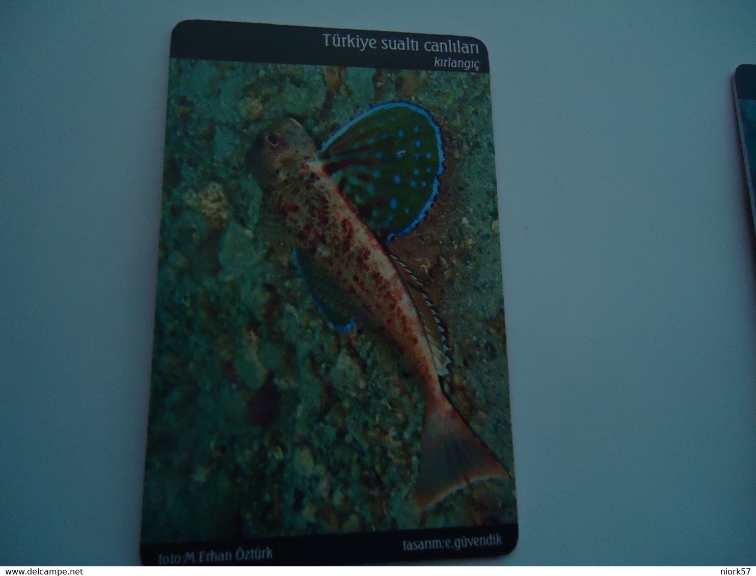 TURKEY USED  CARDS  FISH FISHES  MARINE LIFE - Fish