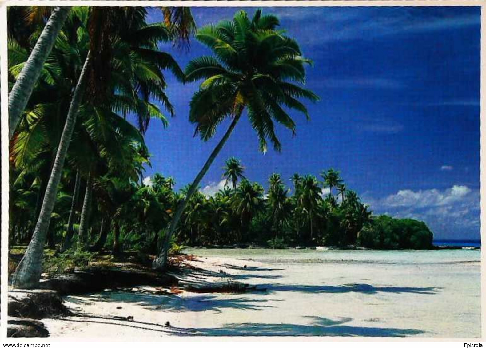 ►  Timbre Tahitienne Et Son Fils Sur CPM Plage De RANGIROA Archipel Des TUAMOTU - Cachet BORA BORA - Covers & Documents