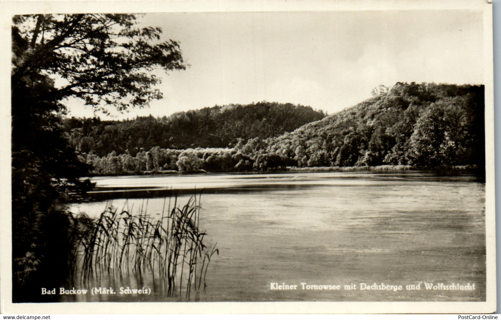 42589 - Deutschland - Bad Buckow , Märk. Schweiz , Kleiner Tornowsee Mit Dachsberge Und Wolfsschlucht - Gelaufen 1934 - Buckow