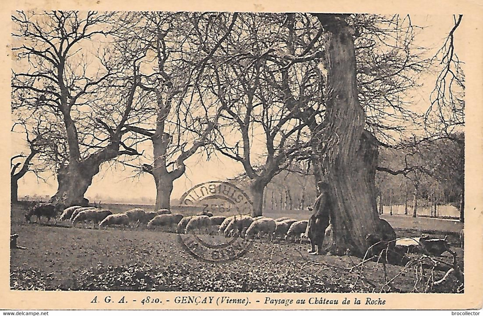 GENCAY ( 86 ) -  Paysage Au Château De La Roche ( Points De Colle Au Dos ) - Gencay