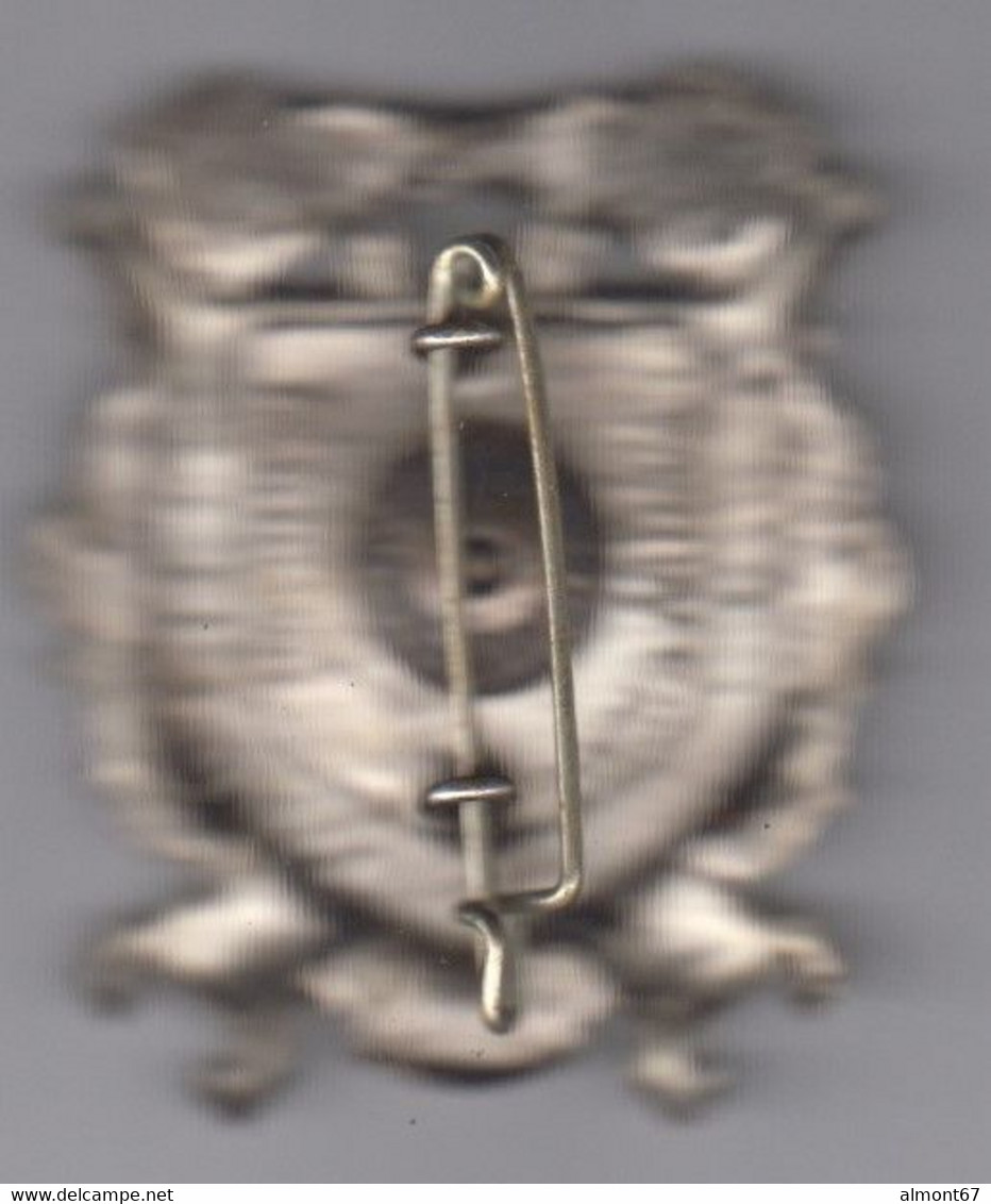 Fédération Des Sapeurs Pompiers De La République Française     - Insigne émaillé Arthus Bertrand - Pompiers