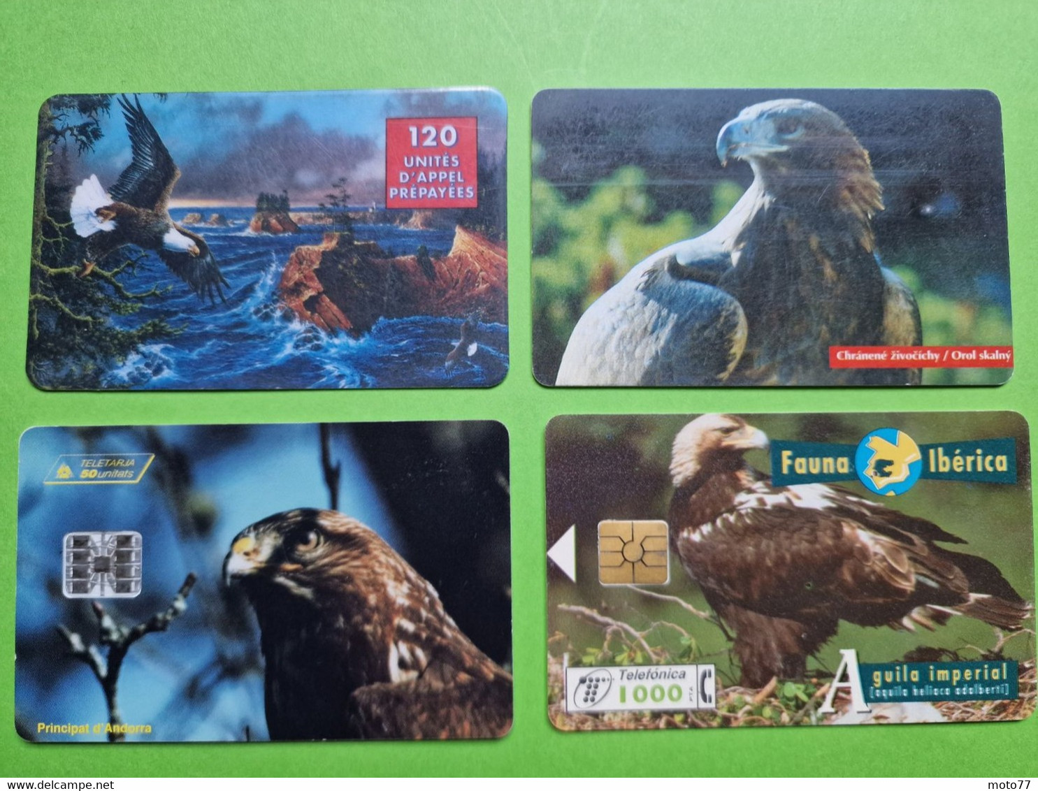 Lot 4 Cartes Téléphonique VIDE - Cabine Téléphone - AIGLE Oiseau Rapace - 1996 1998 - Aigles & Rapaces Diurnes