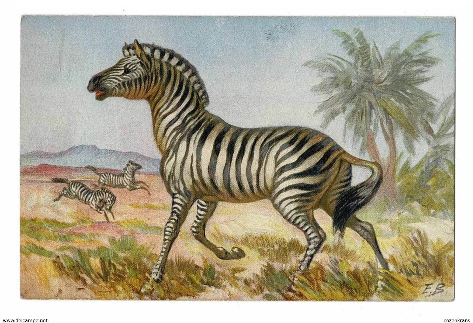 Illustrateur Illustrator EB ZEBRE ZEBRA Afriqye Africa Animal Jolie Carte Fantaisie CPA - Zebras