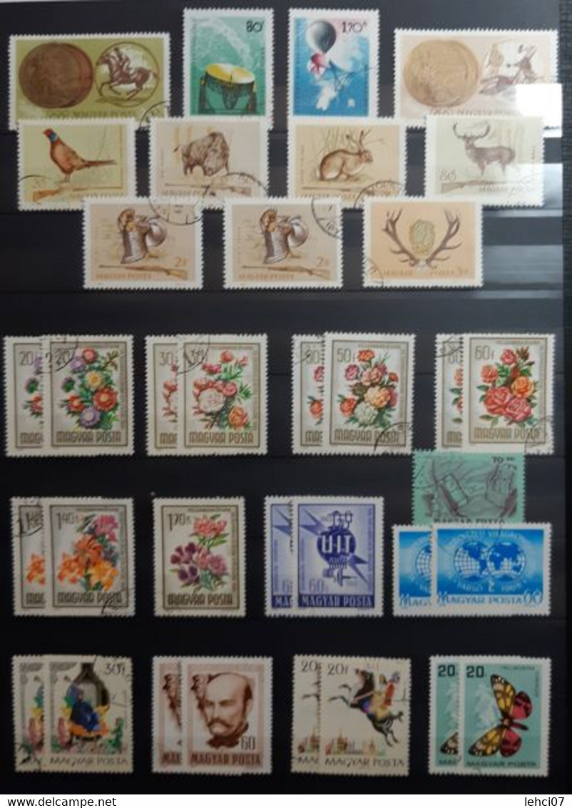 HONGRIE Magnifique collection importante, plus de 3 000 timbres