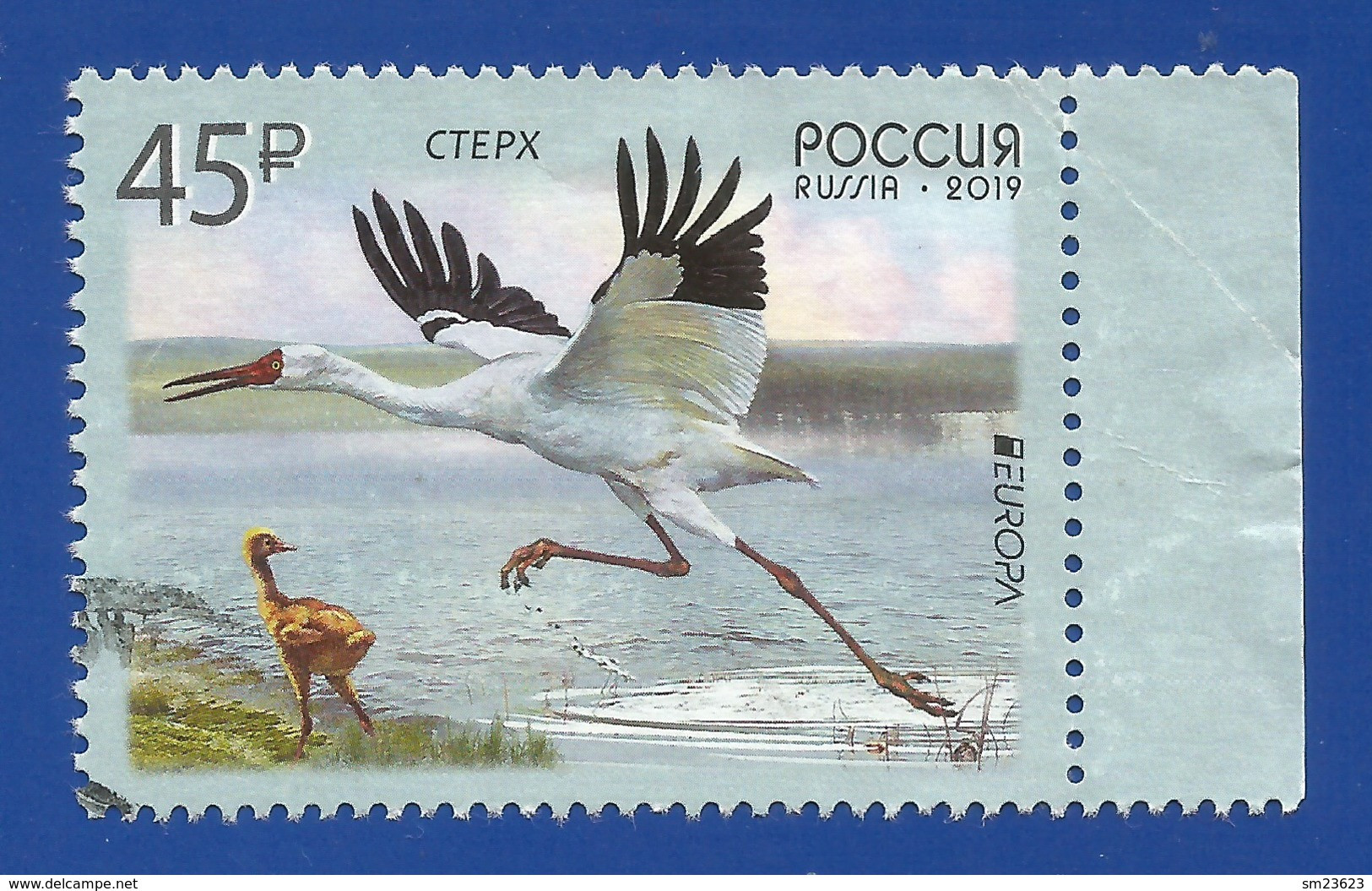 Russland / Russia 2019 , EUROPA CEPT Birds - Gestempelt / Fine Used / (o) - Usados