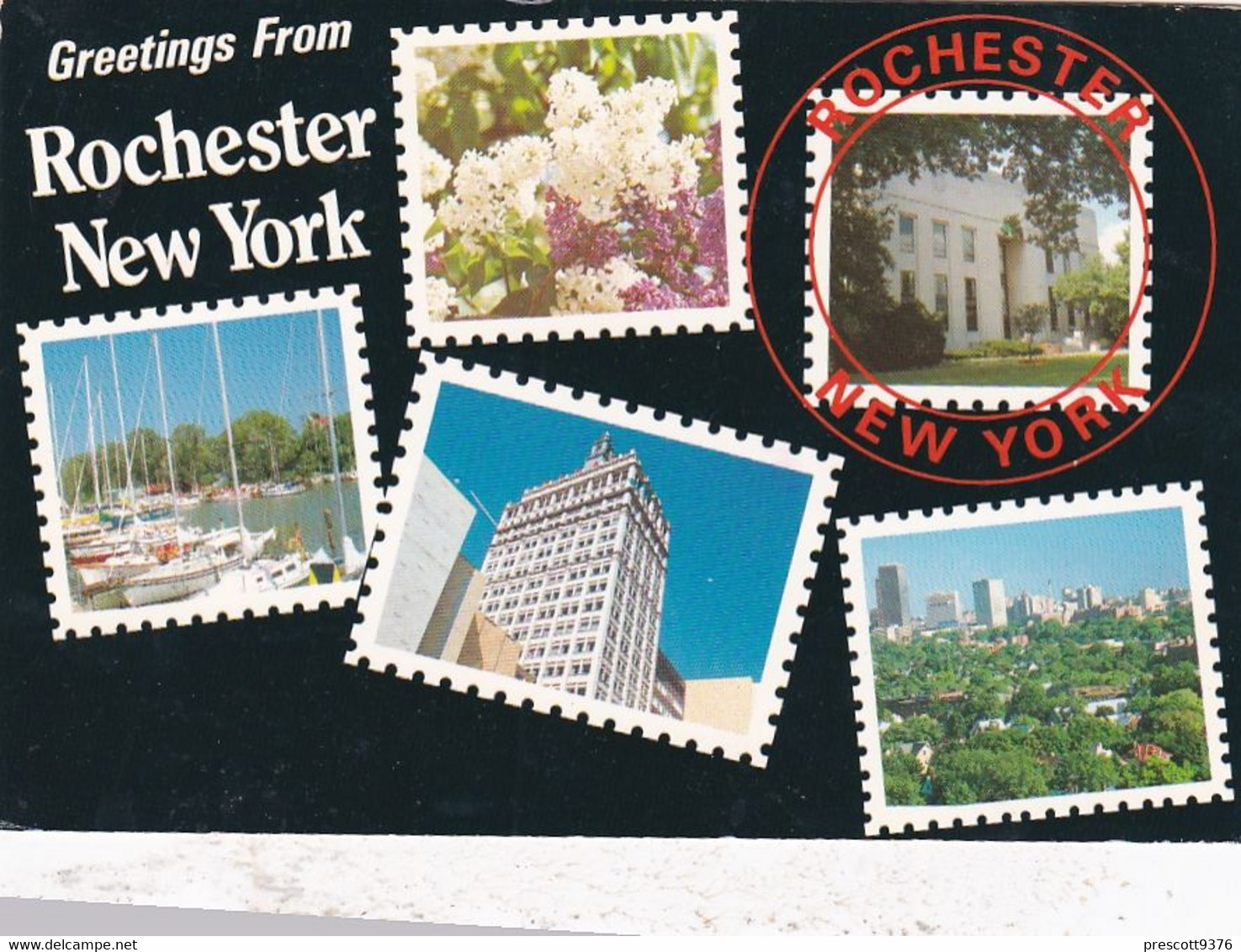 Greetings From Rochester New York - USA - Multiview -  Postcard - Used - Stamped 1991 - Rochester