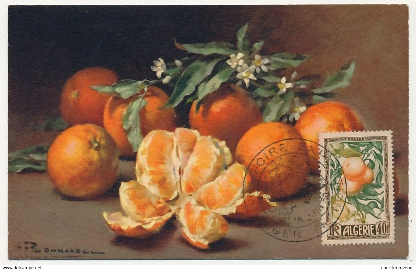 ALGERIE - Carte Maximum 40F Oranges Et Citrons N°281 - Obl Alger Foire Exposition 18 Juin 1960 - Cartoline Maximum