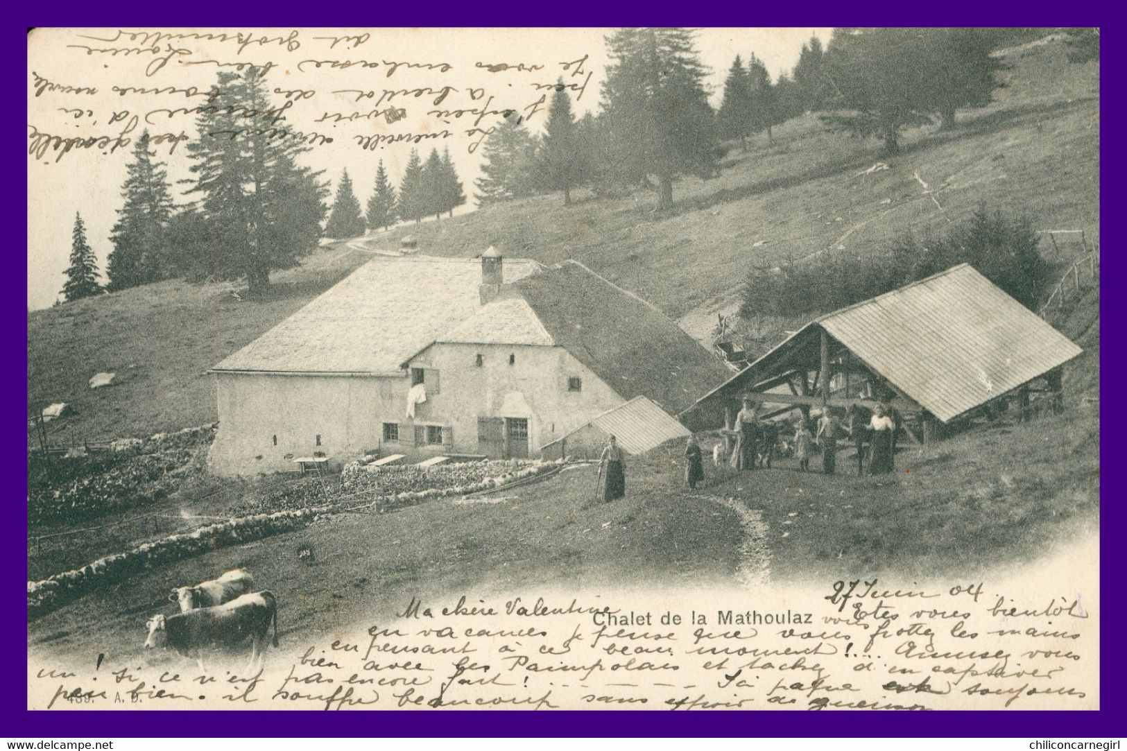 * DISTRICT D'ORBE - Chalet De La MATHOULAZ - Vaches - Animée - 489 - Edit. A.B. - 1904 - Orbe