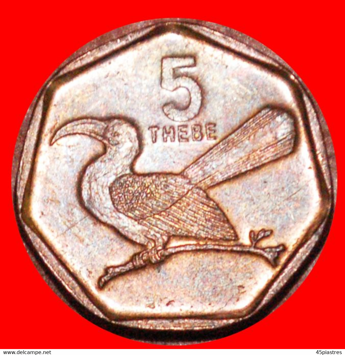 * SOUTH AFRICA (1998-2009): BOTSWANA  5 THEBE 2007 BIRD! LOW START   NO RESERVE! - Botswana