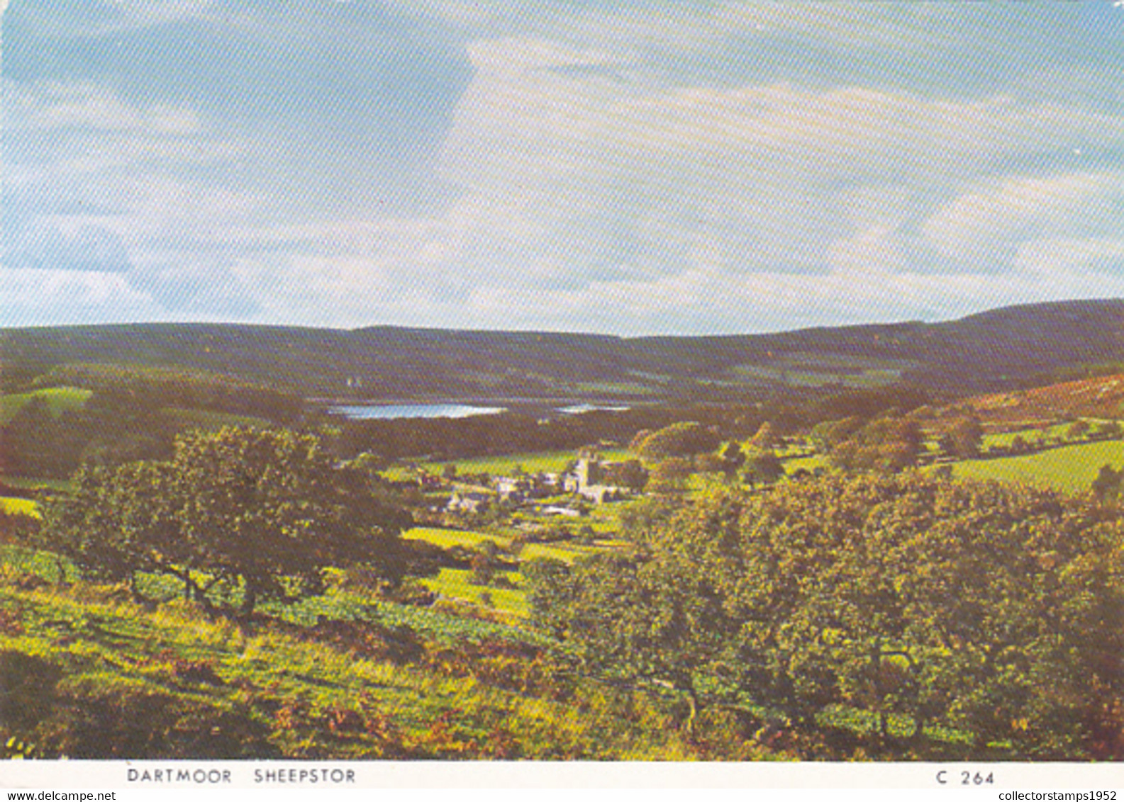 DARTMOOR SHEEPSTOR PANORAMA - Dartmoor