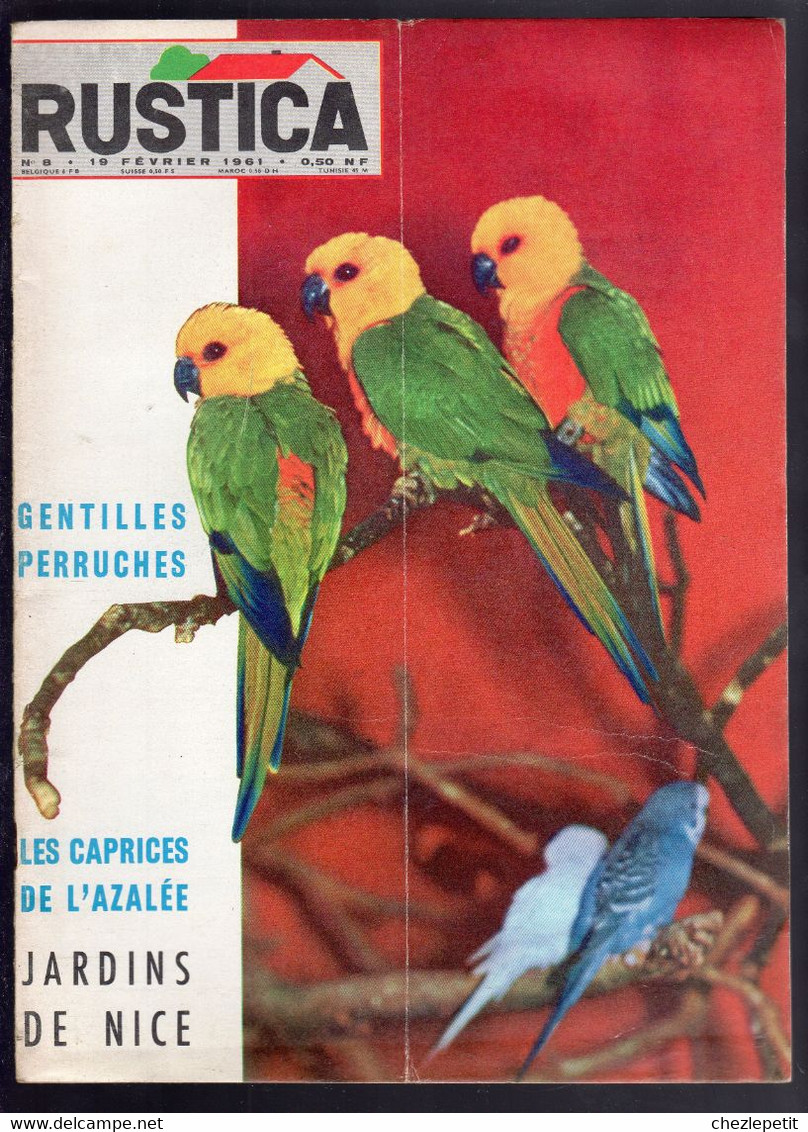 RUSTICA N°8 1961 Azalée Pigeon Salade Poireau Nice French Gardening Magazine - Garten