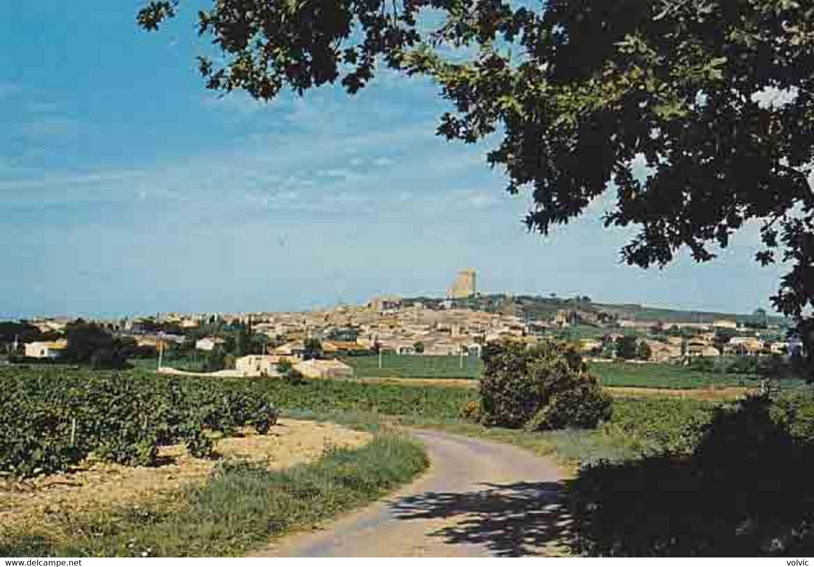 84 - CHATEAUNEUF-du-PAPE - Vue Générale   - CPM - Chateauneuf Du Pape