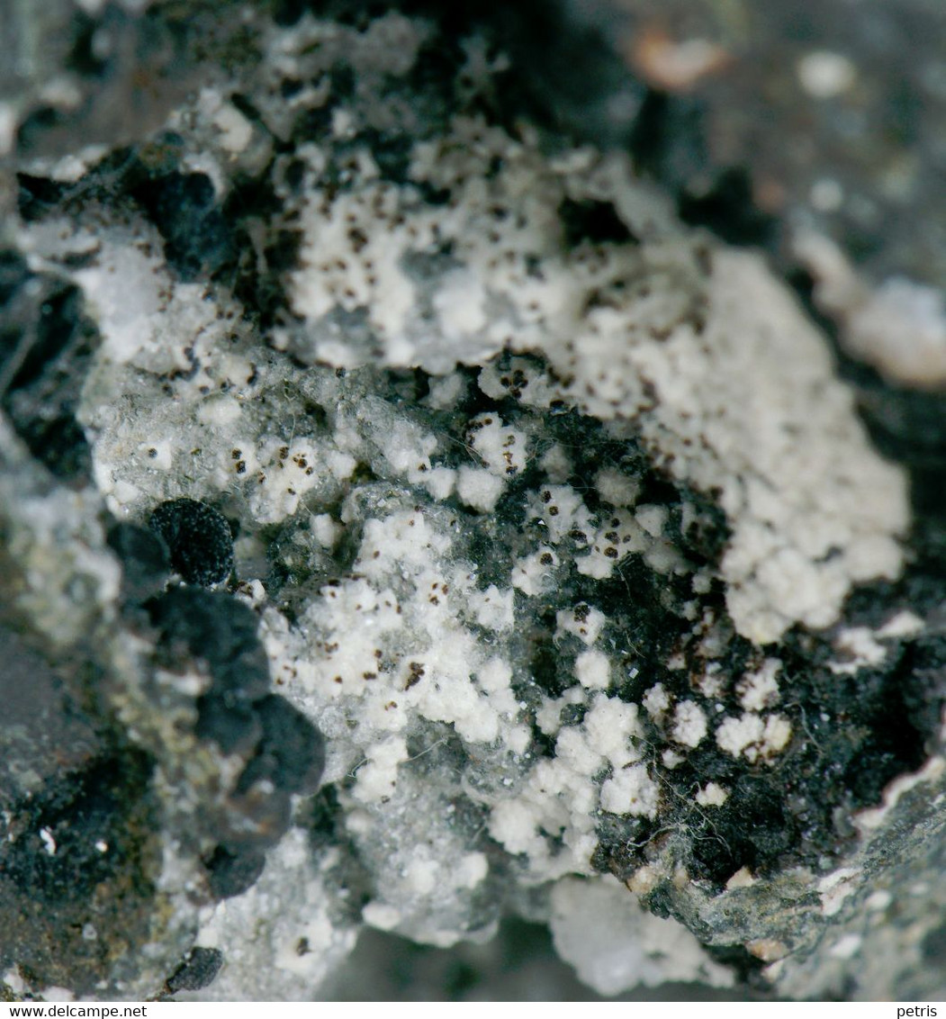 Mineral - Thomsonite, Calcite E Aragonite (Etna, Catania, Sicilia, Italia) - Lot. 967 - Minéraux