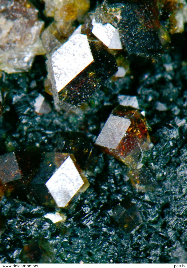 Mineral - Andradite Con Magnetite (Antronopiana, Verbania, Italia) - Lot. 975 - Minéraux