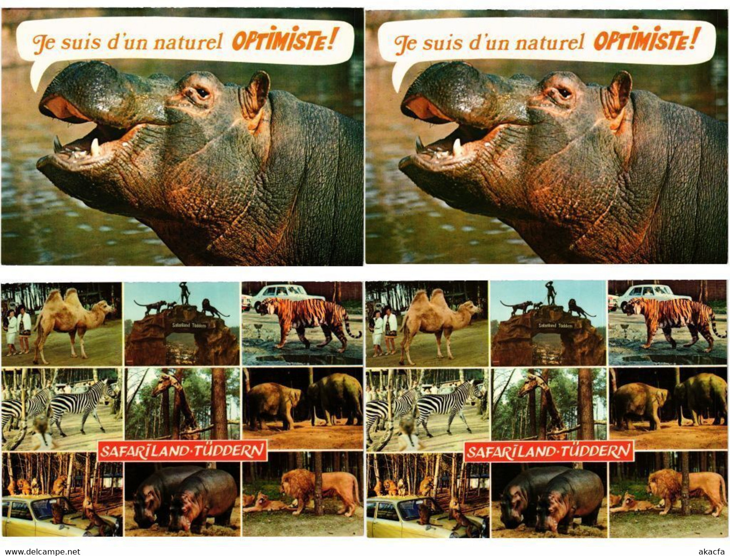 HIPPOPOTAMUS, HIPPO, HIPPOS, ANIMALS 27 Modern Postcards (L4496) - Flusspferde